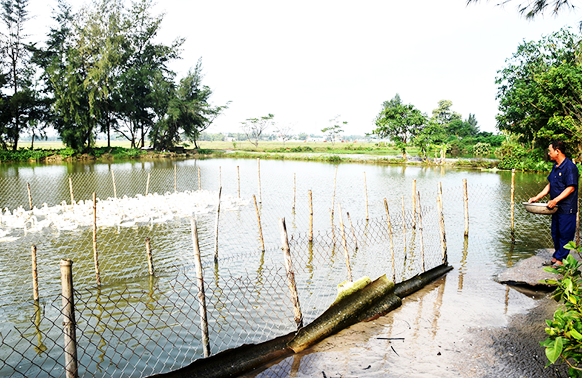 Khởi sắc vùng công giáo Ba Đồn (Bài cuối): 'Thắp lửa' thi đua phát triển kinh tế