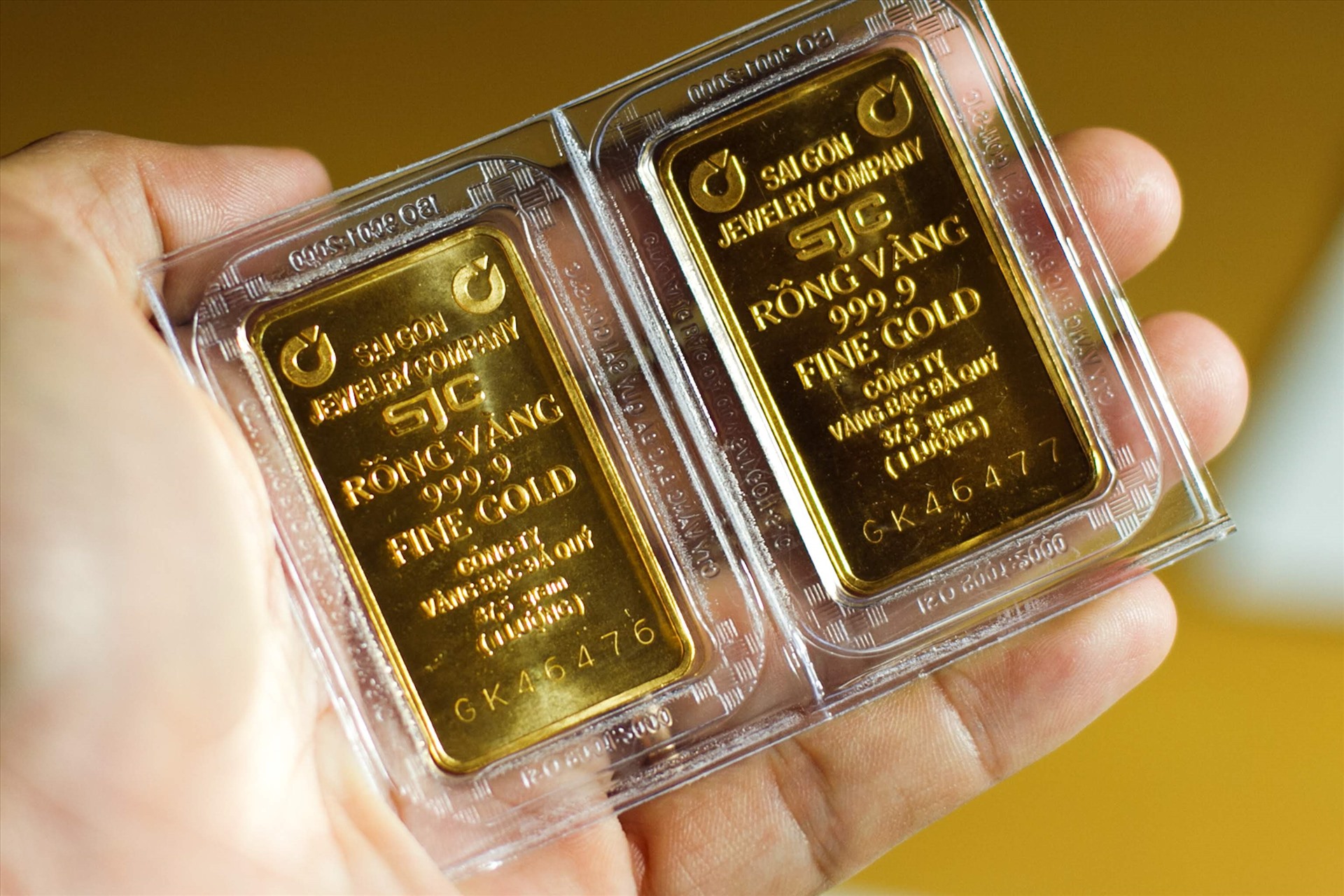 Giá vàng SJC và đồng USD ổn định trong phiên giao dịch đầu tuần