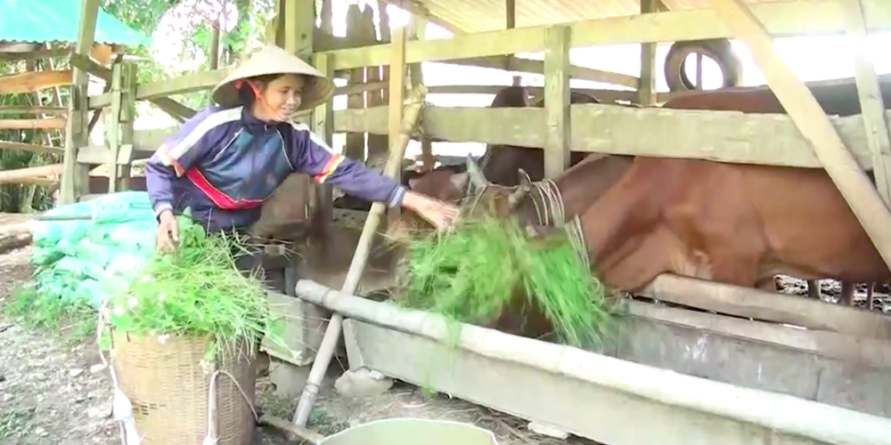 Chuyển biến ở vùng đồng bào dân tộc huyện Anh Sơn (Bài 1): Diện mạo mới ở bản vùng biên