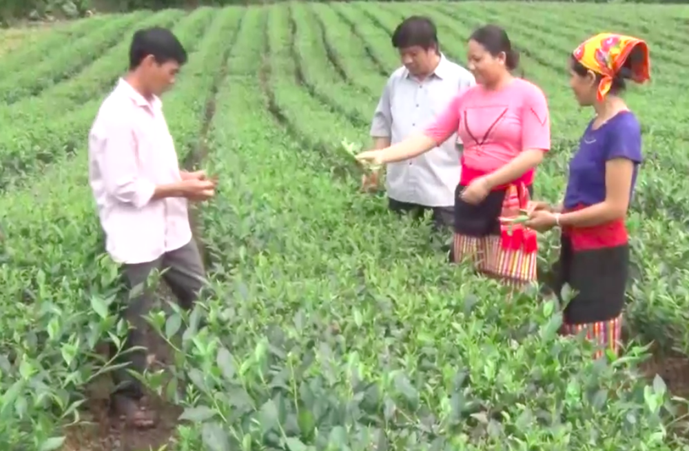 Chuyển biến ở vùng đồng bào dân tộc huyện Anh Sơn (Bài cuối): Kỳ vọng phát triển đột phá