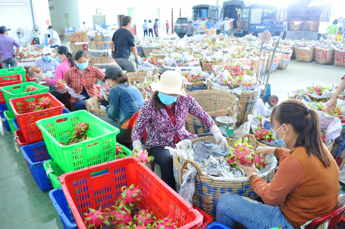 Bộ NN&PTNT gửi công văn hỏa tốc hỗ trợ tiêu thụ nông sản phía Nam