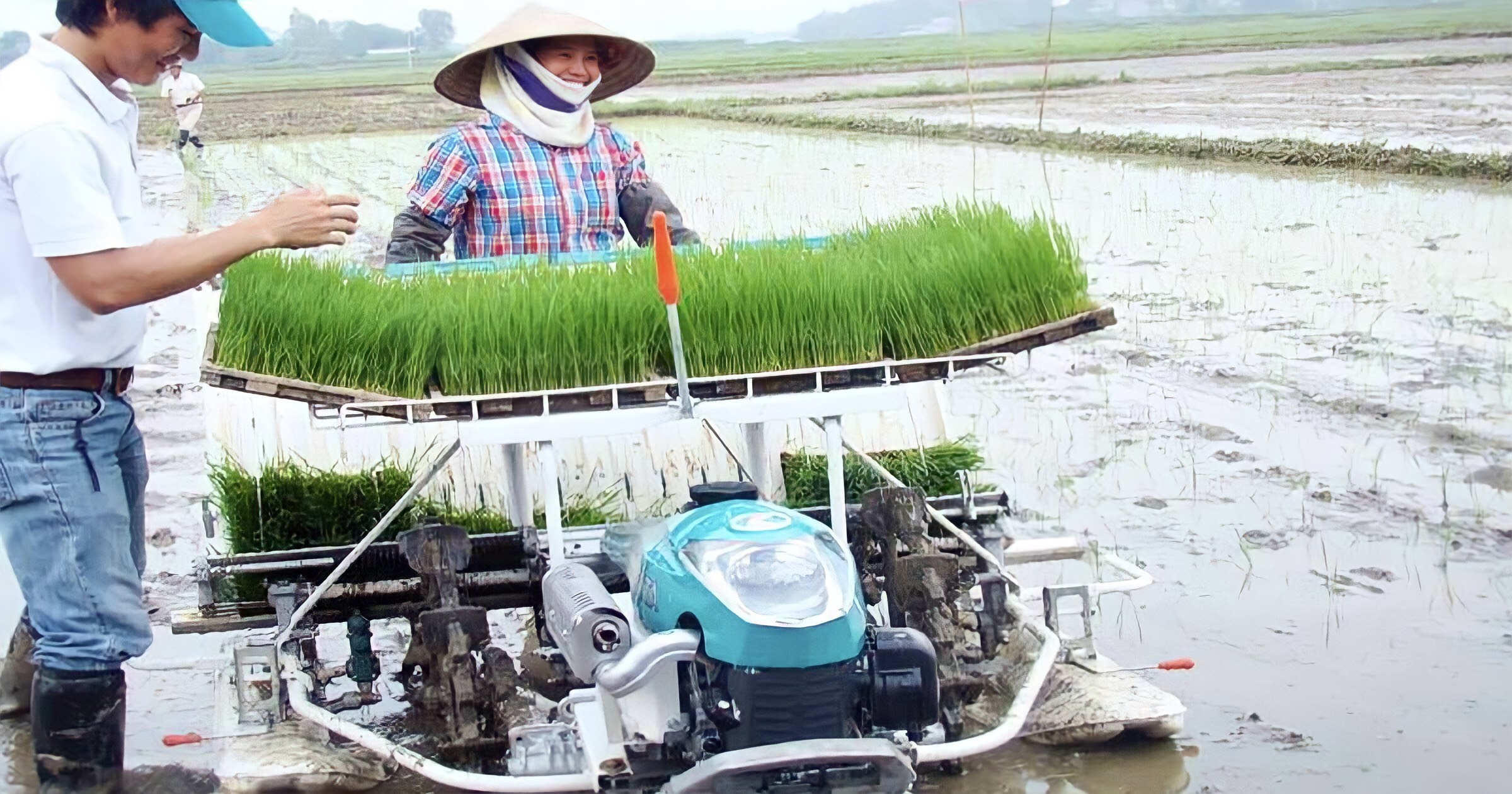 'Ba nhà' liên kết làm nên thương hiệu gạo ngon Phú Xuân