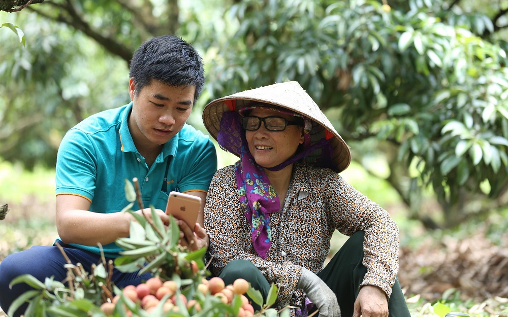 Hợp tác xã hòa nhịp thị trường công nghệ số