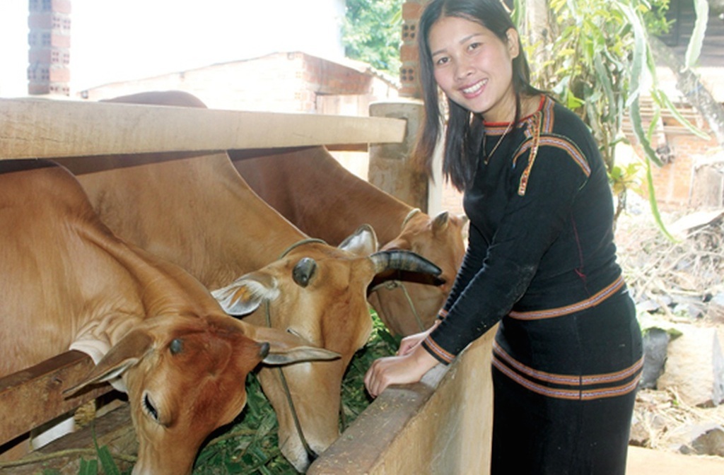 Cải thiện cuộc sống đồng bào dân tộc thiểu số ở Sông Hinh (Bài 1): Nỗ lực giảm nghèo căn cơ