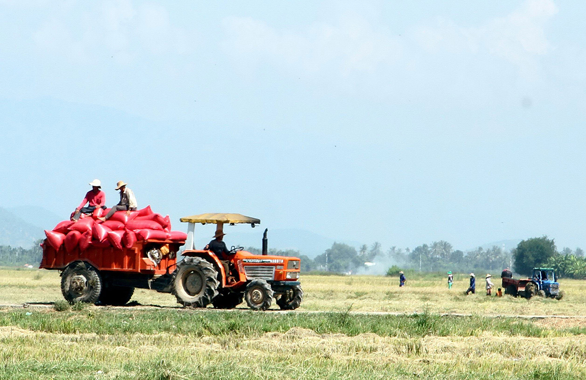 Vùng người Chăm ở Ninh Phước phát triển bền vững (Bài 1): Đổi thay nông nghiệp, nông thôn