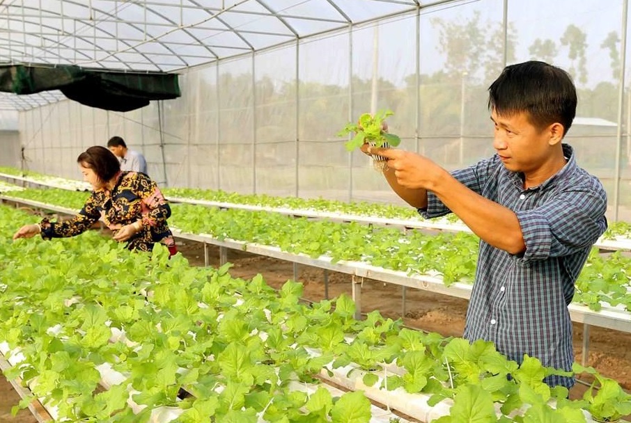Tăng ưu đãi với doanh nghiệp đầu tư vào nông nghiệp, nông thôn