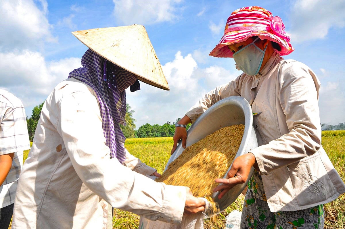 Lại lo nông sản rớt giá vì COVID-19