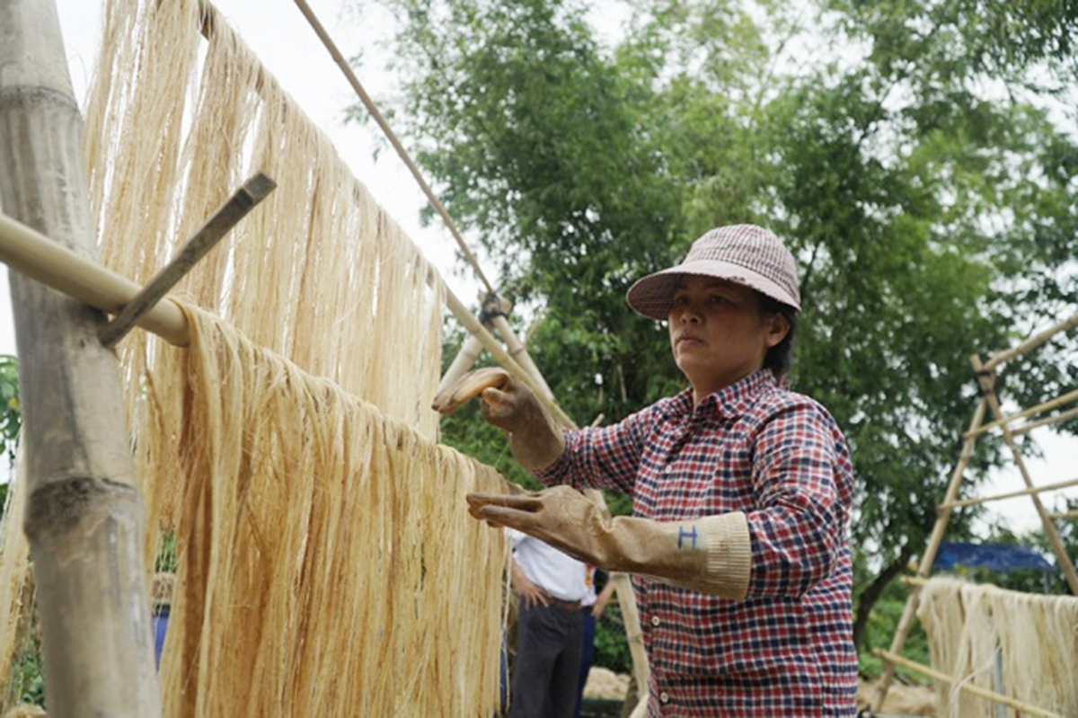 Khai Thái vươn lên cùng các HTX nông nghiệp 'xanh'