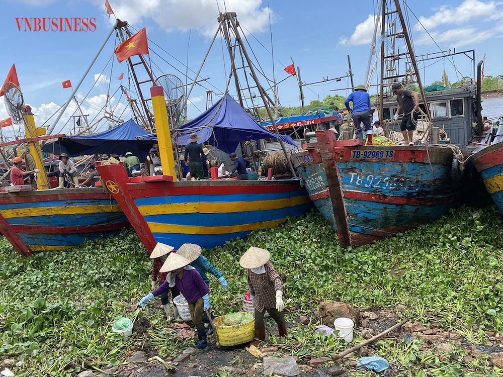 Nhộn nhịp cảng cá Tân Sơn