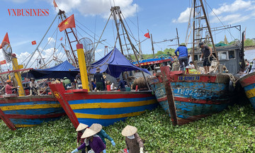 Nhộn nhịp cảng cá Tân Sơn