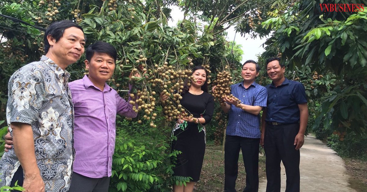 Khoa học công nghệ đưa nhãn Miền Thiết vươn ra thế giới