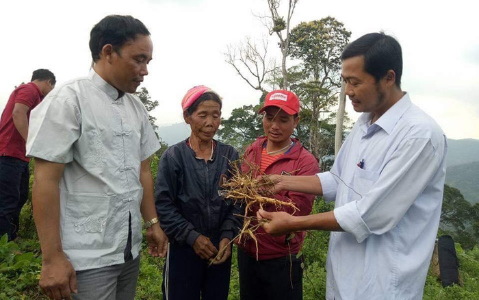 Cây dược liệu giúp đồng bào dân tộc thiểu số ở Quảng Nam 'đổi đời' (Bài cuối): Đẩy mạnh phát triển kinh tế tập thể, HTX