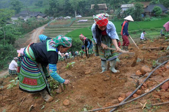 Diện mạo nông thôn mới ở Trấn Yên (Bài 1): Đồng bào dân tộc thiểu số vươn lên thoát nghèo