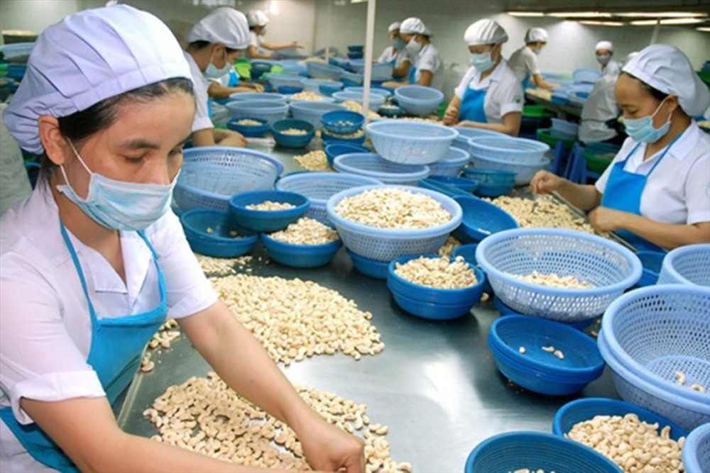 Những mặt hàng nào hưởng thuế suất 0% khi xuất khẩu sang Peru?