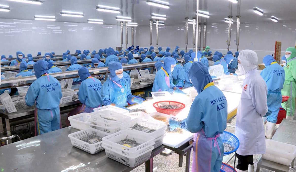 13 doanh nghiệp thủy sản dừng sản xuất vì công nhân nhiễm COVID-19