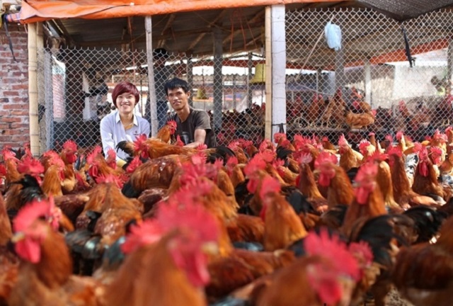HTX Yên Phú: Sản phẩm rộng đầu ra nhờ khoa học công nghệ