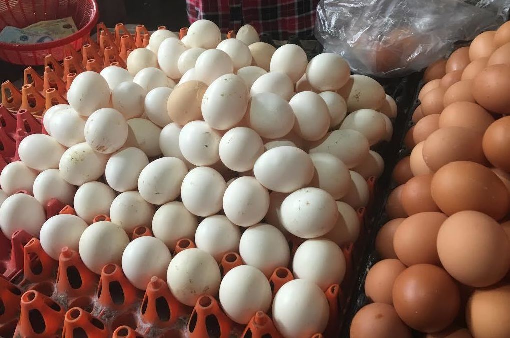 Không lo 'cháy hàng', nguồn cung trứng gia cầm vẫn còn rất lớn