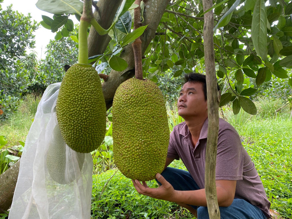 Khan hiếm vật tư nông nghiệp, nông dân phía Nam khó mua cả túi bao trái