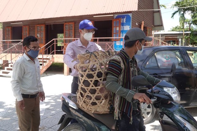 Diện mạo mới ở vùng tây Đà Nẵng (Bài 1): Tạo sinh kế cho hộ nghèo miền núi