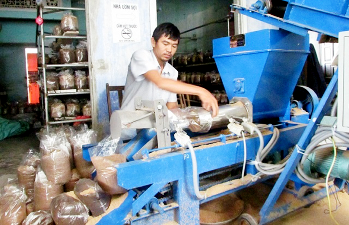 Dạy nghề để mở đường thoát nghèo cho lao động nông thôn Như Thanh