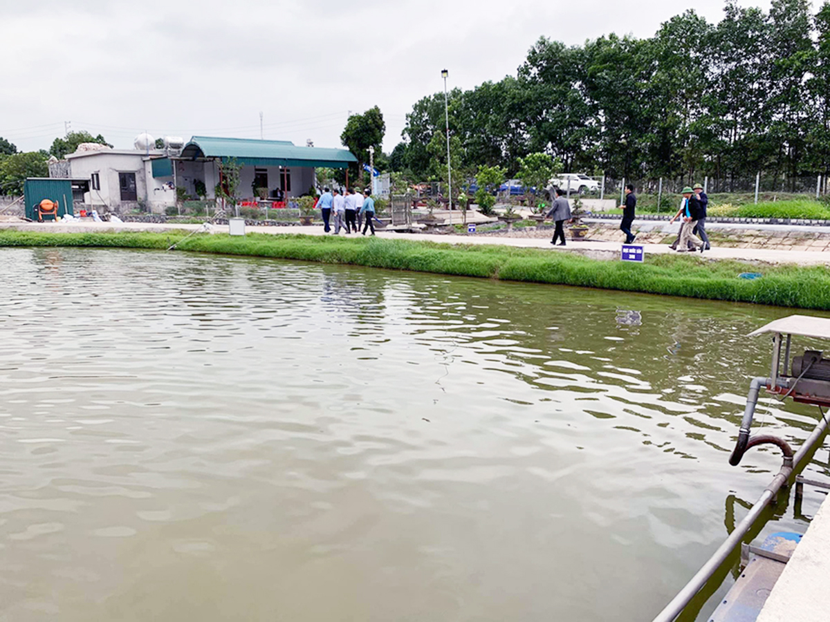 Kim Bảng đánh thức tiềm năng nông nghiệp sinh thái