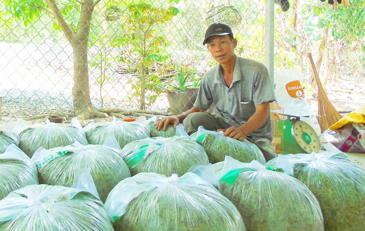 Binh-Hoa-Nam-2-2475-1627548658.jpg