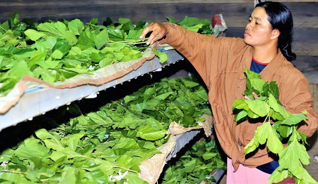Giảm nghèo ở vùng dân tộc thiểu số tại Đăk Nông (Bài cuối): Tăng liên kết trong kinh tế hợp tác