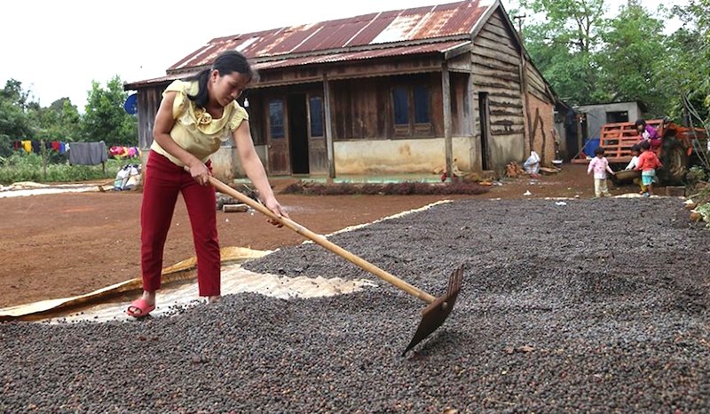Giảm nghèo ở vùng dân tộc thiểu số tại Đăk Nông (Bài 1): Giúp phụ nữ vươn lên