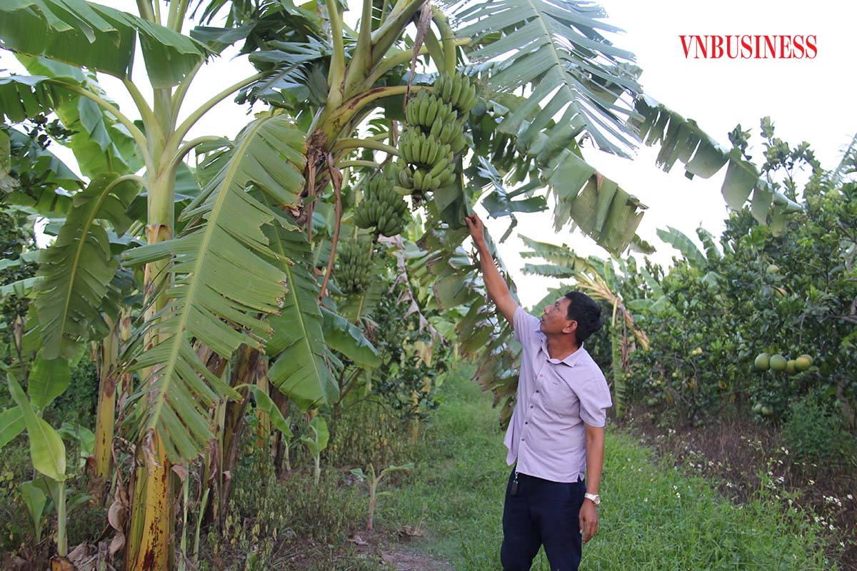 Kinh tế hợp tác vùng dân tộc Phú Thọ phát triển bền vững (Bài 1): Mạnh dạn ứng dụng khoa học công nghệ