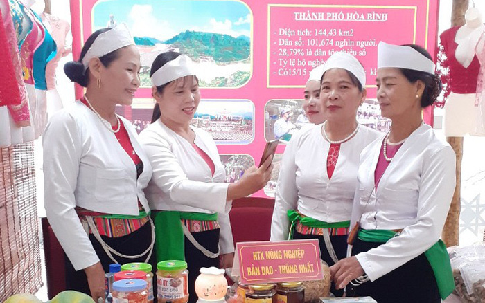 Phụ nữ dân tộc thiểu số tỉnh Hòa Bình làm kinh tế HTX (Bài cuối): Cây sả góp phần đổi thay cuộc sống
