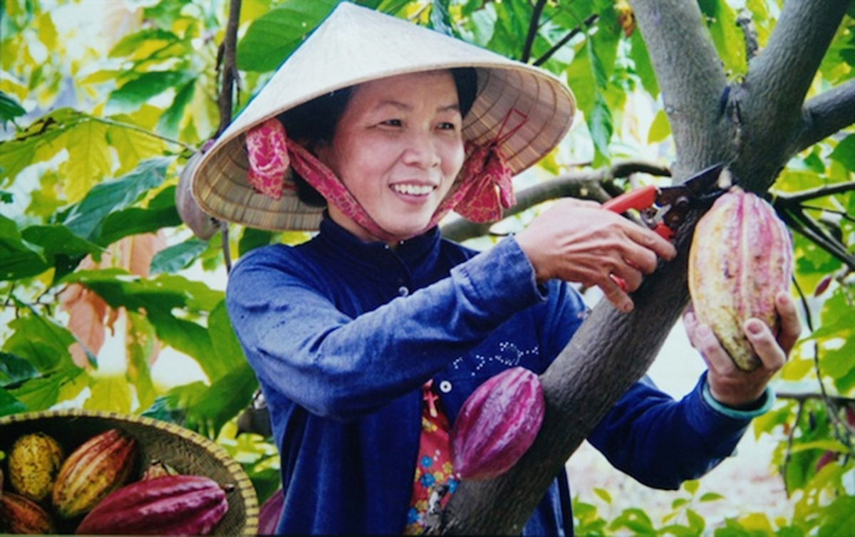 Dạy nghề hiệu quả giúp nông thôn Định Quán khởi sắc