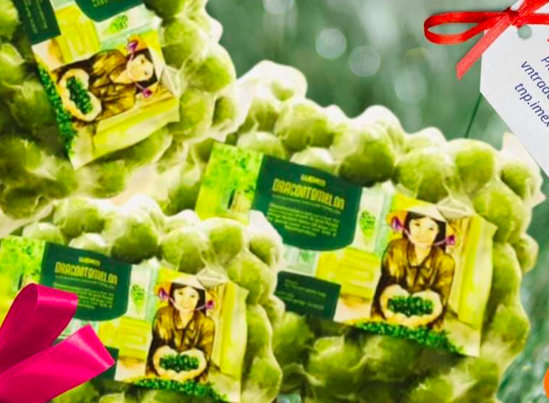 Xuất khẩu 22 tấn quả sấu đông lạnh sang Úc, giá trị trên 6,5 tỷ đồng