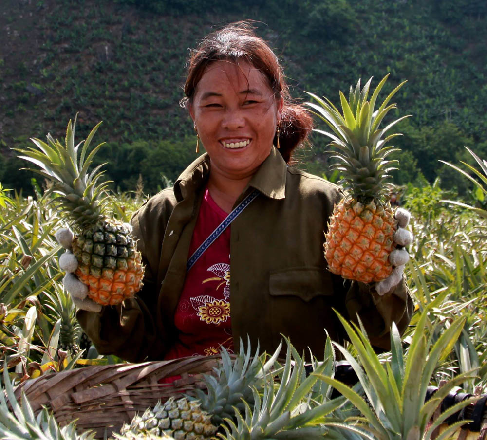 dua-Muong-Khuong-8522-1627961673.jpg
