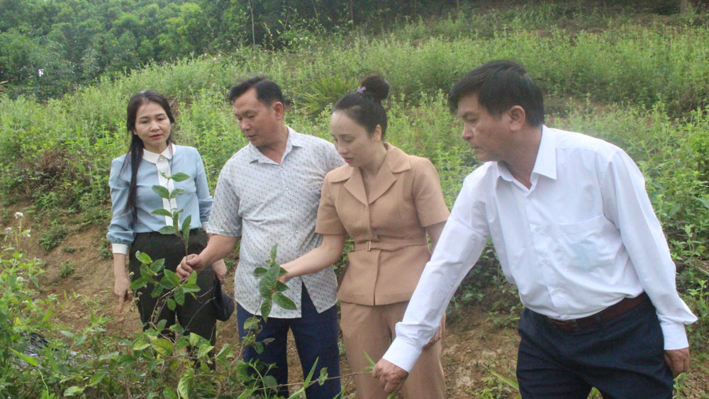 Lanh-dao-Ban-Dan-toc-Lien-minh-3982-3128