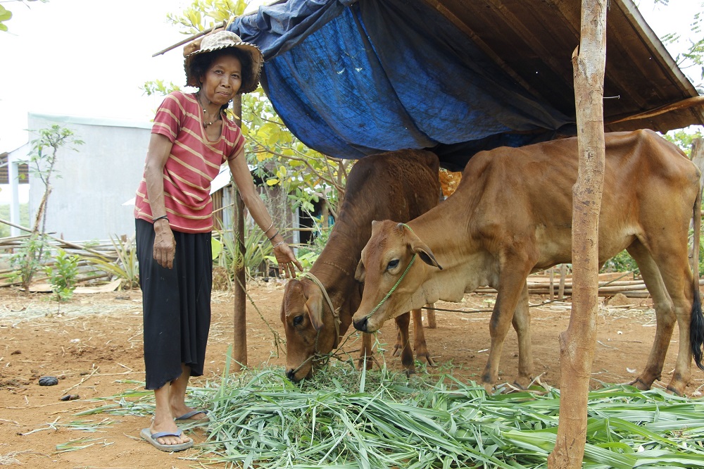 Người S’tiêng tại Hớn Quản phát triển kinh tế (Bài 1): Nâng cao đời sống ở ấp vùng sâu