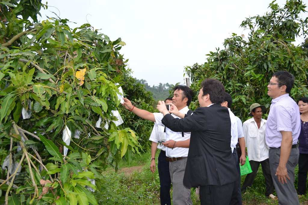 Dân tộc thiểu số ở Định Quán khát vọng vươn lên (Bài cuối): Chuyển mình cùng nông thôn mới nâng cao