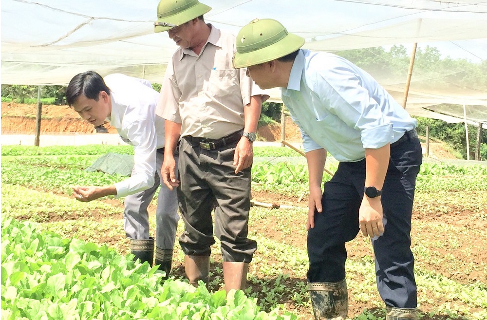 Người S’tiêng tại Hớn Quản phát triển kinh tế (Bài cuối): Thêm 'cú hích' cho kinh tế hợp tác