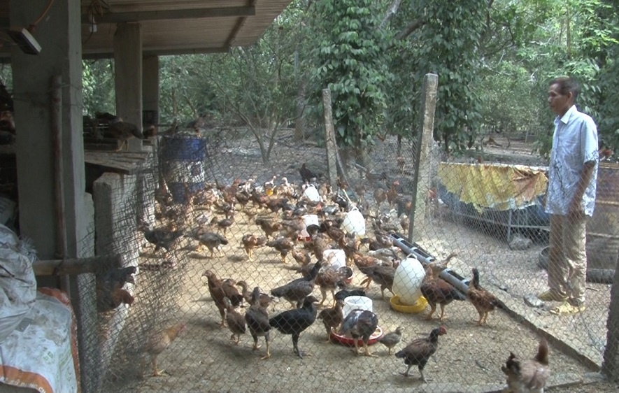 image-20210621213153-1-jpeg-3879-1628248