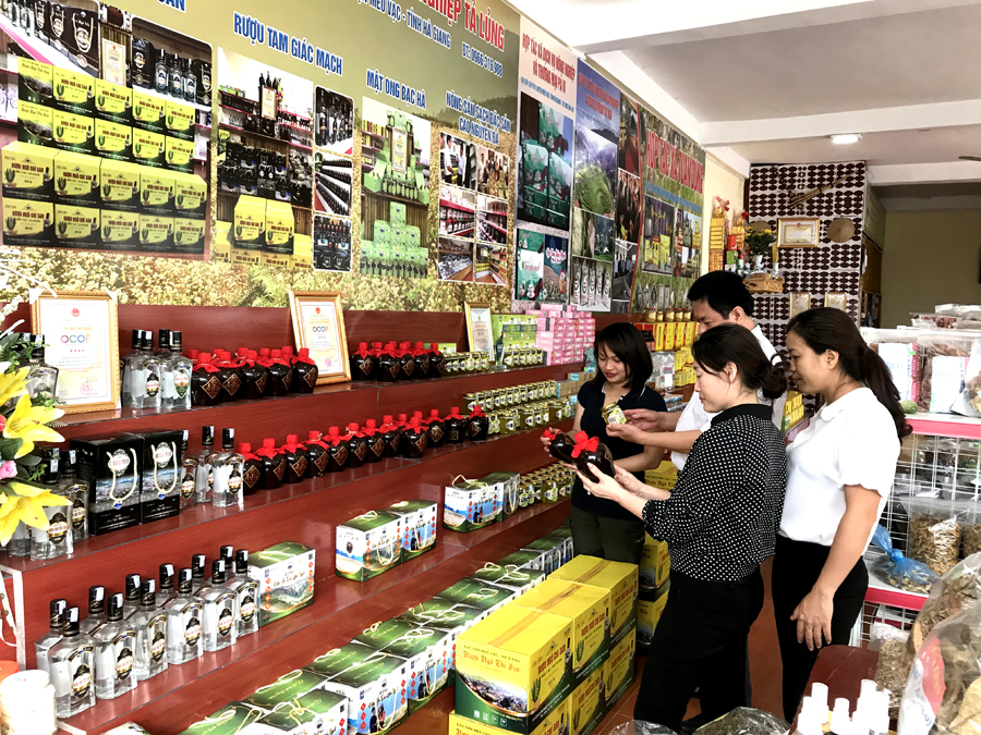 Khởi sắc vùng đồng bào dân tộc huyện Mèo Vạc (Bài 2): Phát huy vai trò HTX kiểu mới
