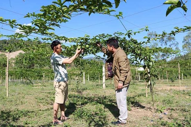 Sốp Cộp không lùi lại phía sau (Bài 2): Dồm Cang không ỷ lại sự hỗ trợ của Nhà nước