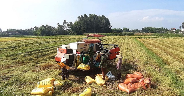 Phát triển nông nghiệp gắn với nông thôn mới ở Duy Xuyên