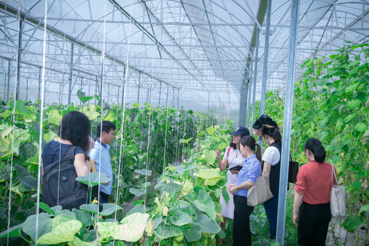 Ban hành Quy chế hoạt động Ban chỉ đạo Trung ương về phát triển kinh tế tập thể