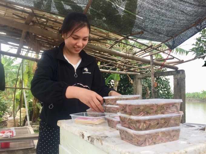 anh-5-ruoi-cay-cap-dong-tu-ky-7659-2176-