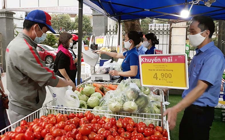 Tạo động lực tái đầu tư từ hỗ trợ kết nối cung - cầu cho HTX