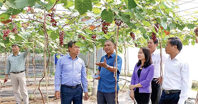 ‘Quả ngọt’ sau 10 năm xây dựng nông thôn mới ở Hiệp Hòa