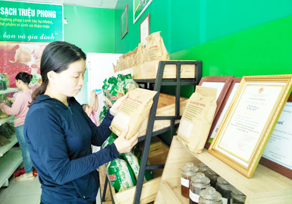 Những mũi nhọn trong xây dựng nông thôn mới ở Triệu Phong