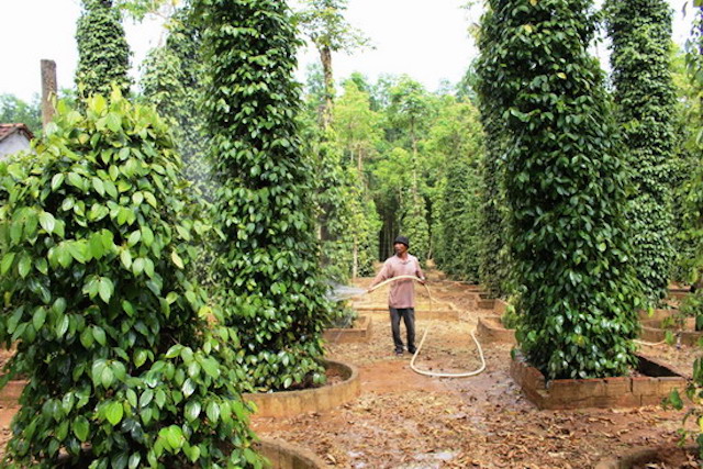 Phát huy hiệu quả chính sách dân tộc ở tỉnh Bình Định (Bài cuối): Đánh thức tiềm năng du lịch huyện miền núi Hoài Ân