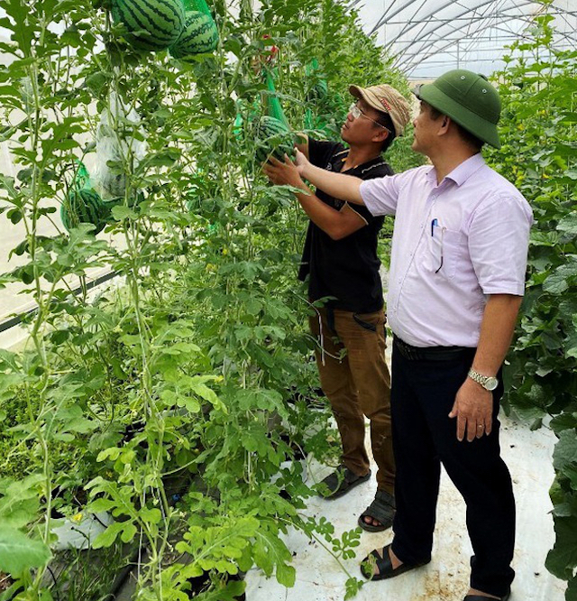 Phát huy hiệu quả chính sách dân tộc ở tỉnh Bình Định (Bài 2): Nâng chất HTX, đẩy mạnh ứng dụng công nghệ