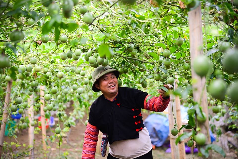 Người Mông làm giàu trên quê hương Sơn La (Bài cuối): Lan tỏa cách làm hay về phát triển HTX