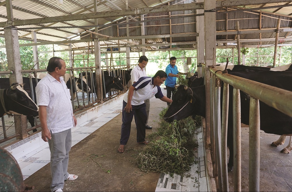 Mỹ Xuyên: 'Điểm sáng' nông thôn mới của Sóc Trăng